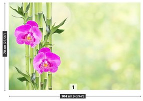 Fototapeta Vliesová Orchidea a bambus 250x104 cm