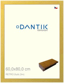 DANTIK rám na obraz 60x80 | RETRO žlutá (Plexi Čiré)