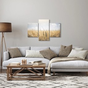 Obraz obilia (90x60 cm)