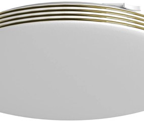 Stropné LED svietidlo Bever, 1x LED 10w, 4000k, g