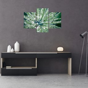 Obraz - Makro snímka kvetu (90x60 cm)