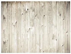 Artgeist Fototapeta - Wood fence Veľkosť: 245x193, Verzia: Samolepiaca