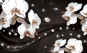 Fototapeta - Orchidea (152,5x104 cm)