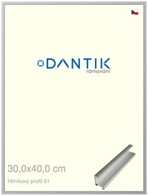DANTIK rám na obraz 30x40 | ALU Stříbrná matná (Plexi Čiré)