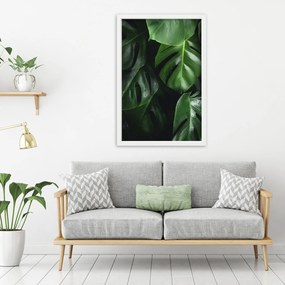 Gario Plagát Módne listy monstery Farba rámu: Čierna, Rozmery: 70 x 100 cm