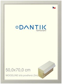 DANTIK rám na obraz 50x70 | WOODLINE bílá prodřená (Plexi Čiré)