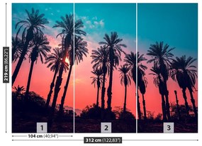 Fototapeta Vliesová Tropické palmy 208x146 cm