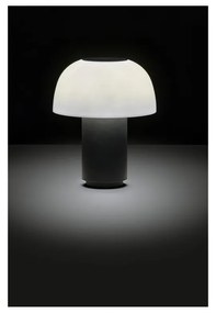 Čierna hliníková LED stmievateľná stolová lampa (výška 22 cm) Harvest – Zone