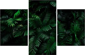 Obraz - Tropické papradie (90x60 cm)