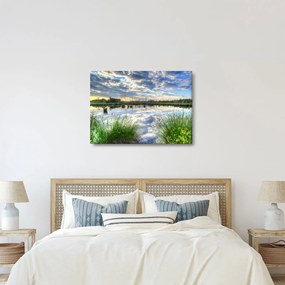 Obraz jazera s tŕstím (70x50 cm)