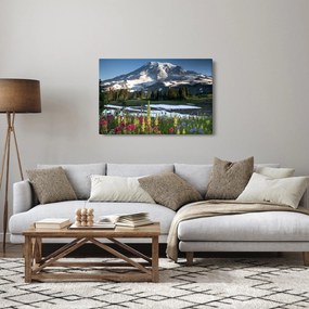 Obraz - Mount Rainier (90x60 cm)