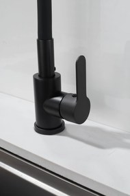 Gamma Flex 4000, stojanková drezová batéria s flexibilným ramenom, 2-funkčný výtok, čierna matná, GMA-BFX-4000BK