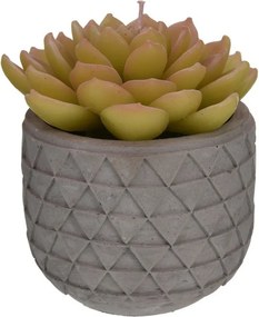 Darčeková sviečka Kaktus v kvetináči – typ 3, 14 cm