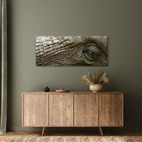 Obraz - Detailné fotografie starého slonieho oka (120x50 cm)