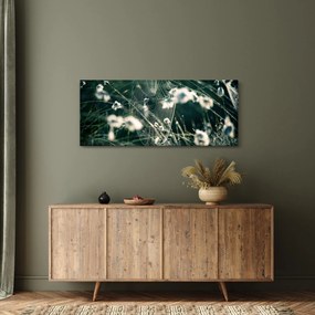 Obraz - Pavučina (120x50 cm)