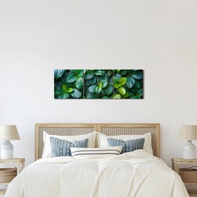 Obraz - Zelené rastliny (s hodinami) (90x30 cm)