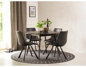 Čierna jedálenská stolička s čiernymi nohami Rowico Alpha