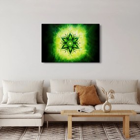 Obraz - Kvetinová mandala v zelenom pozadí (90x60 cm)