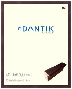 DANTIK rám na obraz 40x50 | FC hnědá vysoká (Plexi Čiré)