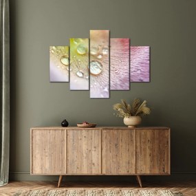 Obraz - Kvapky rosy (150x105 cm)