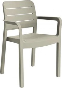ALLIBERT TISARA Záhradná stolička, 53 x 58 x 83 cm, cappuccino 17199557