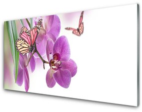 Sklenený obklad Do kuchyne Motýle kvety príroda 120x60 cm