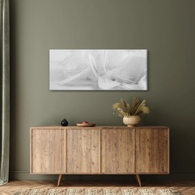 Obraz - Perie (120x50 cm)