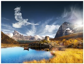 Artgeist Fototapeta - Bird cloud Veľkosť: 200x154, Verzia: Premium