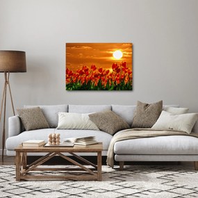 Obraz rozkvitnutého lánu s tulipánmi (70x50 cm)