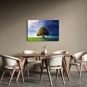 Obraz - Deň a noc (90x60 cm)