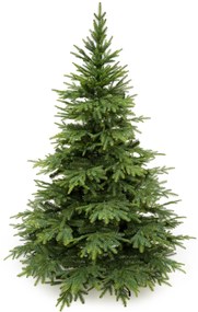 Smrek Kaukazský 3D- 250cm
