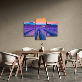 Obraz - Levanduľové pole (90x60 cm)