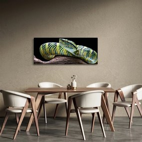 Obraz - Štrkáč Waglerov (120x50 cm)