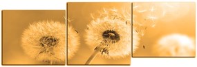 Obraz na plátne - Púpava v rannom slnku - panoráma 5214FE (120x40 cm)
