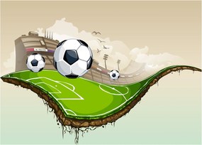 Obraz - Futbalové ihrisko (70x50 cm)