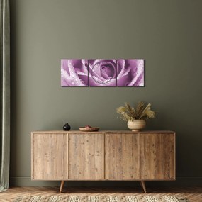 Obraz detailu kvetu ruže (s hodinami) (90x30 cm)