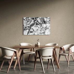 Obraz - Modrý vták v zime (90x60 cm)