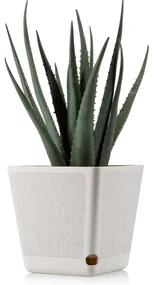 PLASTOVÝ KVETINÁČ PILEA TX 18X18 CM KRÉMOVÁ