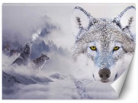 Fototapeta, Vlk v mlze Přírodní zvířata - 200x140 cm