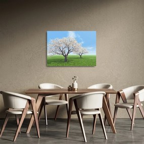 Sklenený obraz stromov (70x50 cm)