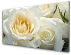 Nástenný panel  Ruže kvety 120x60 cm