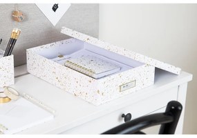 Úložná škatuľa v zlato-bielej farbe Bigso Box of Sweden Oskar