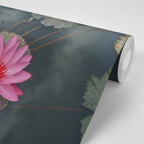 Samolepiaca fototapeta očarujúci lotosový kvet - 450x300