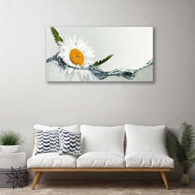 Obraz Canvas Sedmokráska vo vode 120x60 cm
