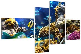 Podmorský svet - obraz