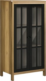 HOMCOM Moderný sklenený bočný stôl, skrinka do obývačky a lounge, 60x35x120cm, hnedá | Aosom