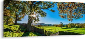 Obraz - Výhľad na pole (120x50 cm)