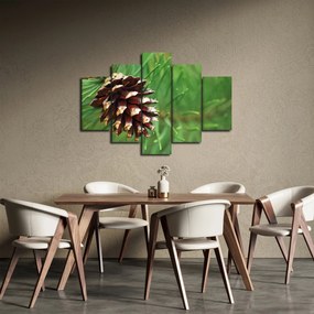 Obraz šišky (150x105 cm)