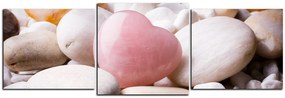 Obraz na plátne - Ružové srdce - panoráma 5105D (120x40 cm)