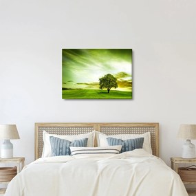 Obraz - Strom života (70x50 cm)